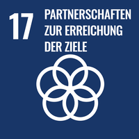 17. Partnerschaften für die Ziele