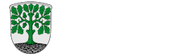 Bürgerbeteiligung Obernhain
